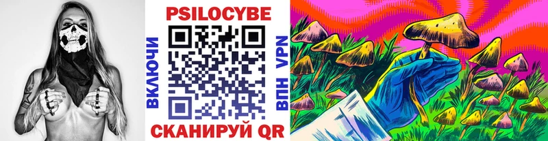 Галлюциногенные грибы мицелий  что такое   Шуя 