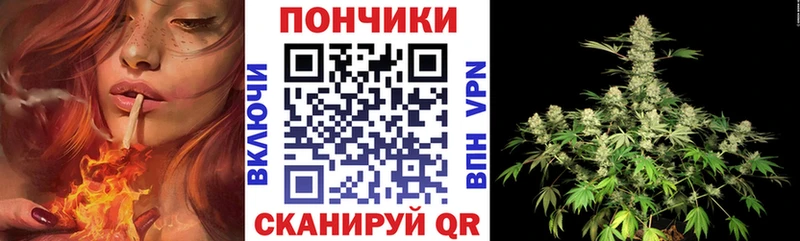 Бошки марихуана VHQ  даркнет сайт  Шуя 